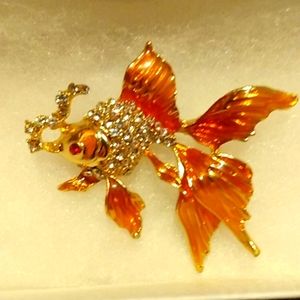 Beta fish broach.  Ruby eye. Orange body.